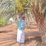 بيئة رابغ تنفذ جولات ميدانيّة وإرشاديّة للحد من حرائق مخلفات المزارع