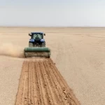 مركز "تنمية الغطاء النباتي" ينفّذ حملة لإعادة تأهيل المراعي الطبيعية بمنطقة المدينة المنورة