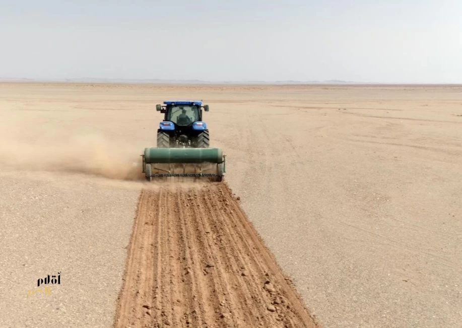 مركز "تنمية الغطاء النباتي" ينفّذ حملة لإعادة تأهيل المراعي الطبيعية بمنطقة المدينة المنورة