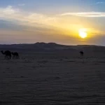 جماليات الغروب في نجران.. مشهد تتمازج فيه روعة الطبيعة وأصالة التراث