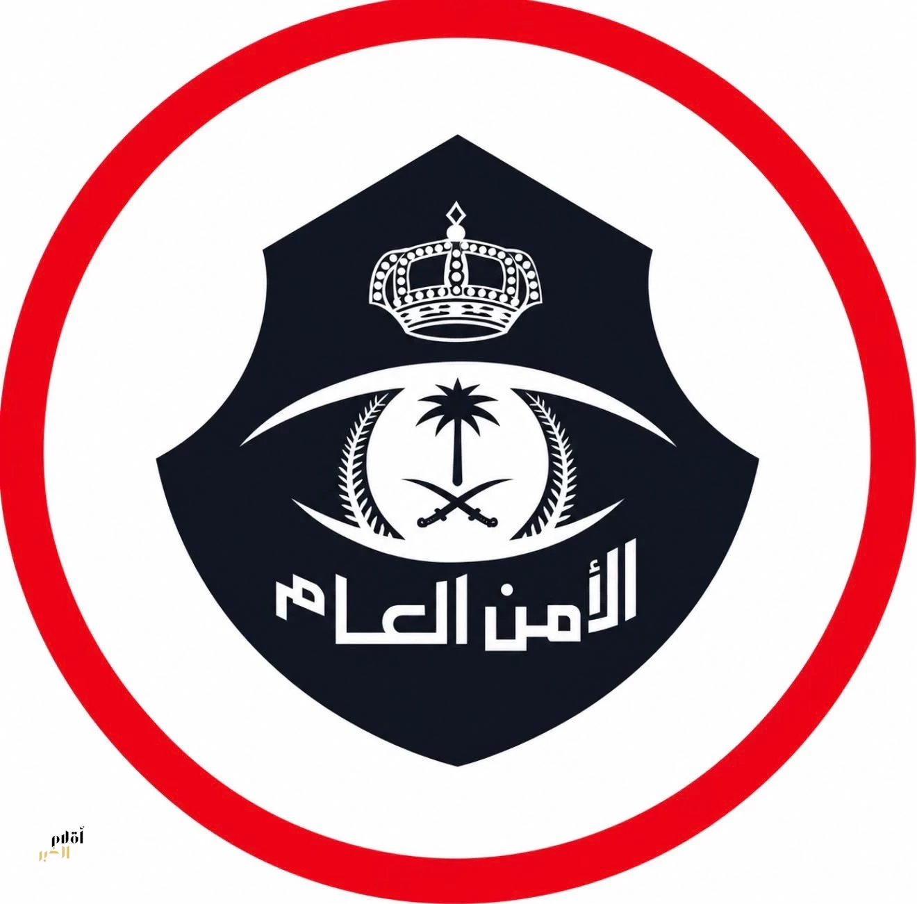 شرطة عسير تضبط وافدتين لممارستهما الدعارة وتحيلهما إلى النيابة العامة