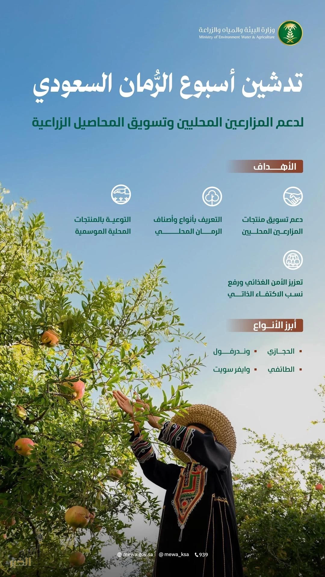 "البيئة" تُدشّن "أسبوع الرُّمان السعودي" لدعم وتعزيز القيمة الغذائية والتسويقية للفواكه المحلية
