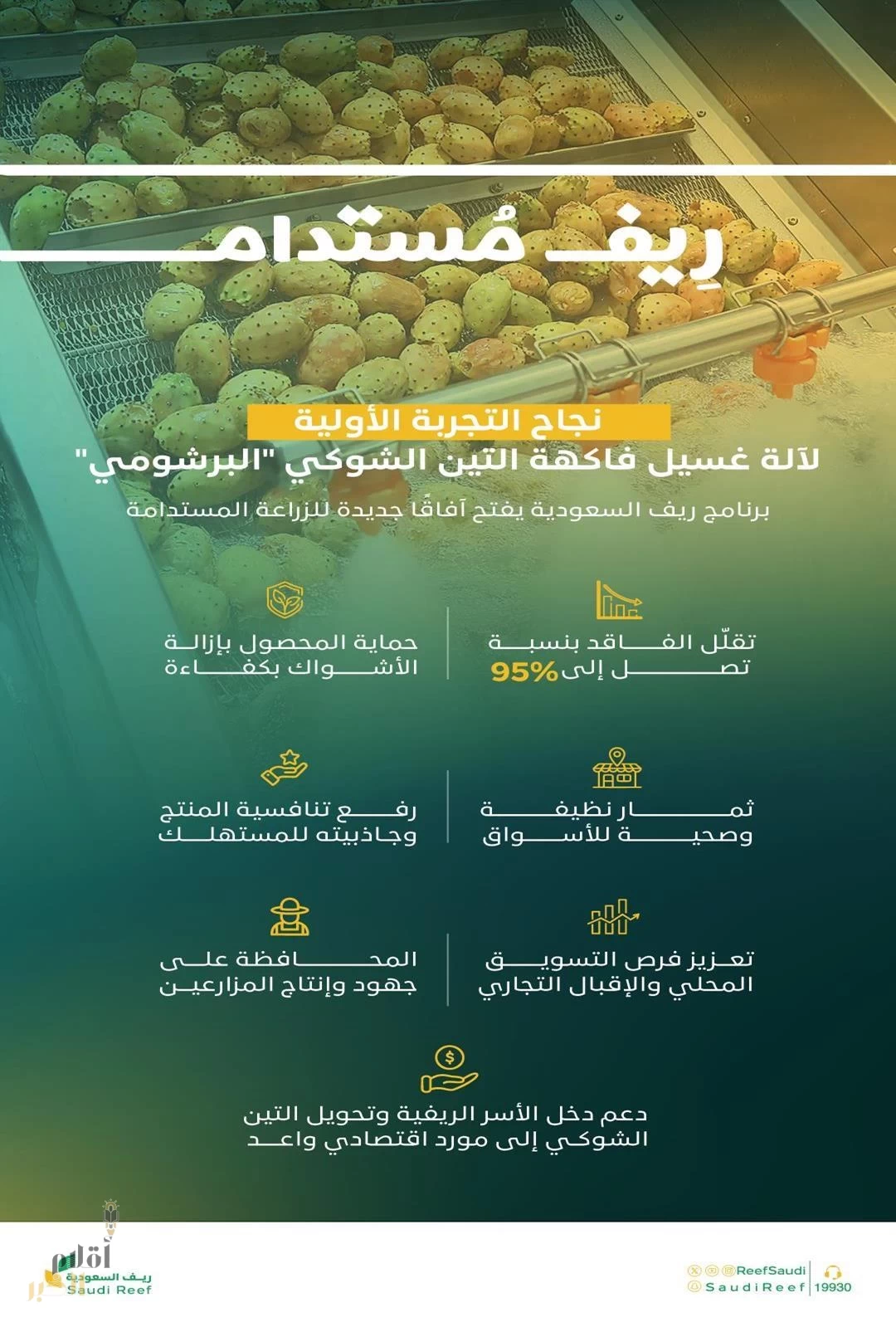 "ريف السعودية" يُعلن عن نجاح التجربة الأولية لخط غسيل فاكهة التين الشوكي "البرشومي"