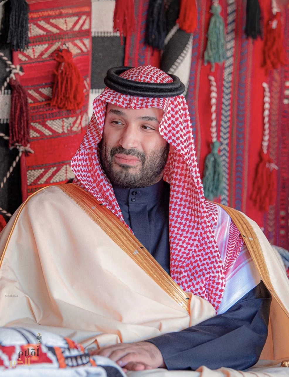 صورة ولي العهد من العلا