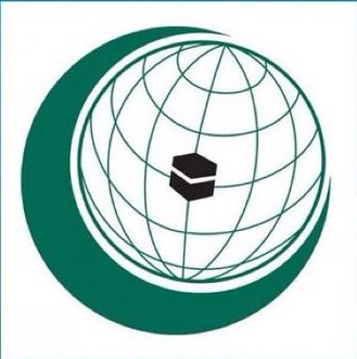 منظمة التعاون الإسلامي تدين إطلاق ميليشيا الحوثي الإرهابية طائرة مفخخة باتجاه المملكة وتدعو إلى الالتزام باتفاق ستوكهول