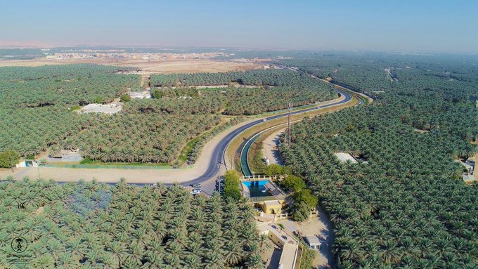 "غينيس" تُسجل واحة الأحساء كأكبر واحة في العالم