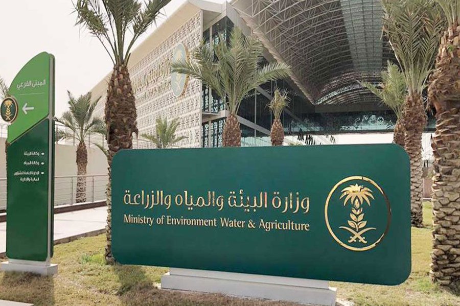 «البيئة» تطرح المخطط العام لمشاريع الدواجن في بيشة للاستثمار عبر منصة «أراضي»