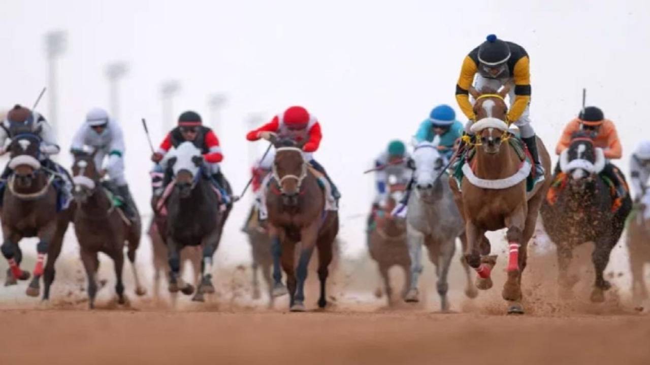 ميدان فروسية العقيق بالباحة ينظم غداً الحفل الرابع لموسم سباقات الخيل للعام الحالي