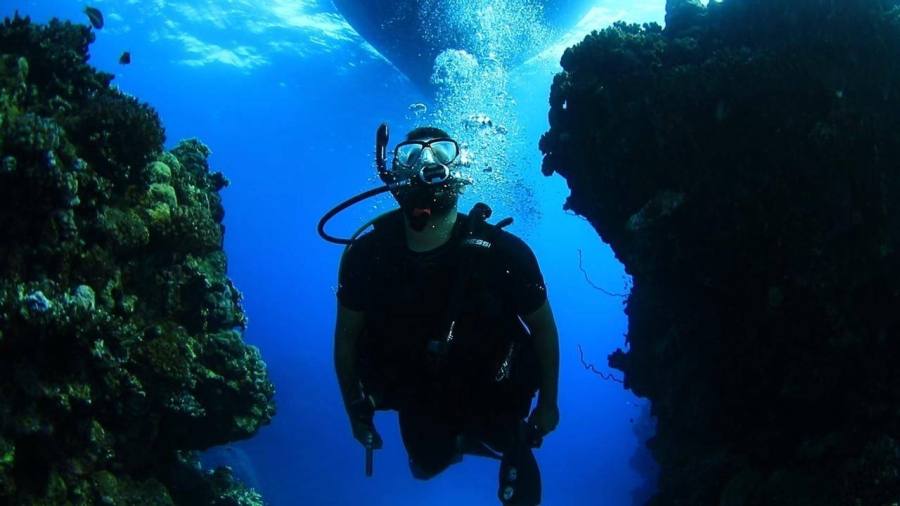 رياضة الغوص في "ينبع" تجذب محبي الرياضات والأنشطة البحرية في "صيف السعودية"