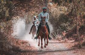 الفارس البادي يُحقِّق المركز الخامس في بطولة العالم بإيطاليا