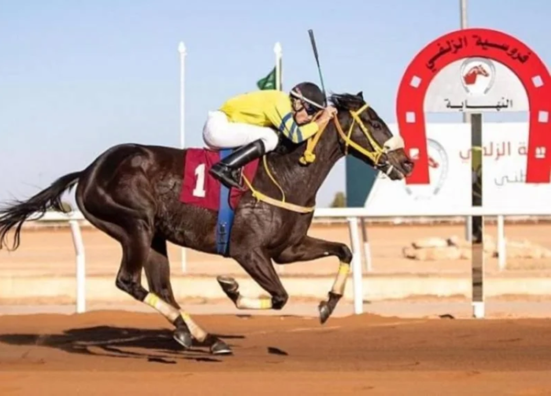 ميدان فروسية الزلفي يُقيم سباقه الـ 15 على كأس وجوائز دعم نادي سباقات الخيل للميادين