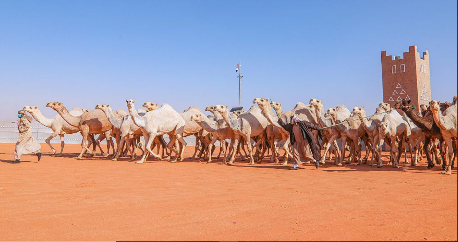 أشواط "مفاريد قعدان المغاتير" تخلو من العبث ضمن مهرجان المؤسس