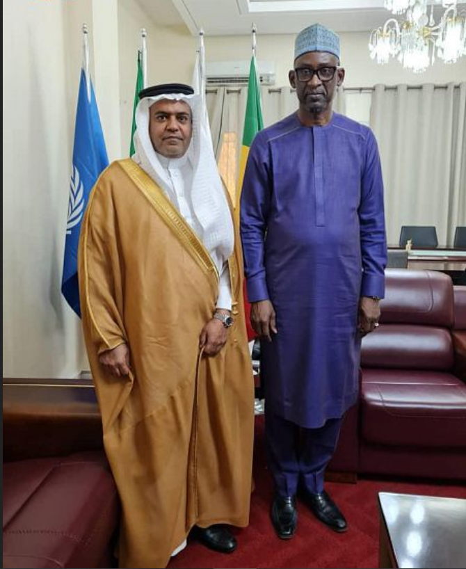 سفير المملكة لدى جمهورية مالي يلتقي بوزير الخارجية المالي