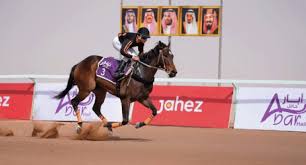 فروسية حائل تنظم حفل سباقها الـ 18‏