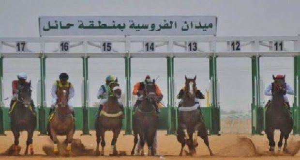 ميدان الفروسية بحائل ينظم حفل سباقه السادس عشر.. غداً