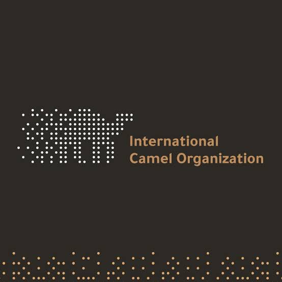 المنظمة الدولية للإبل تقر العديد من المشروعات