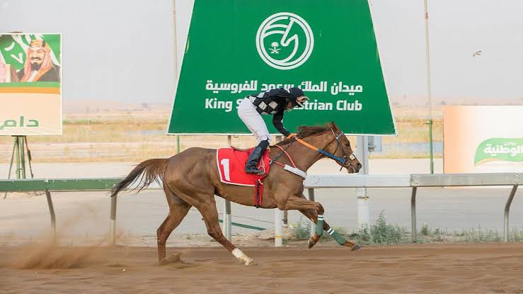 ميدان الملك سعود للفروسية بالقصيم يقيم حفل سباقه الثاني والعشرين