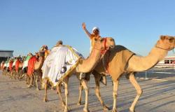 قبلة وفاء تلخص فرحة الفائز بفرديته في المركز الأول في منافسات مفاريد مجاهيم الإبل