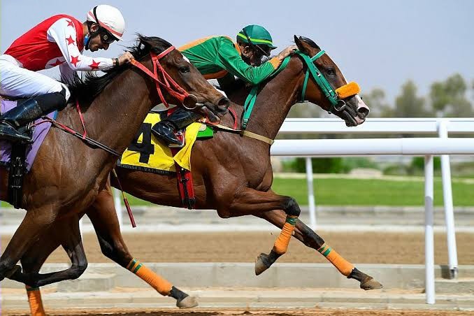 نادي سباقات الخيل يقيم حفل سباقه الـ٤٤ الجمعة
