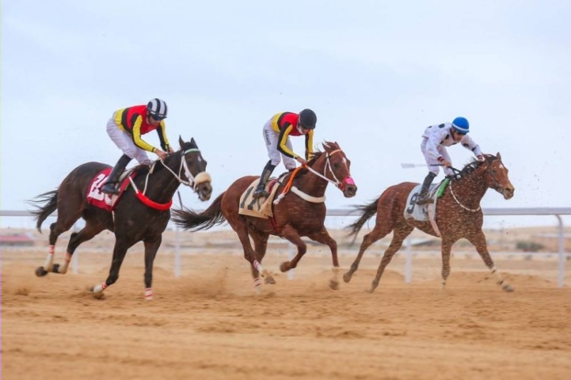 ميدان الفروسية بالأحساء يقيم سباقه الثامن للموسم 1443
