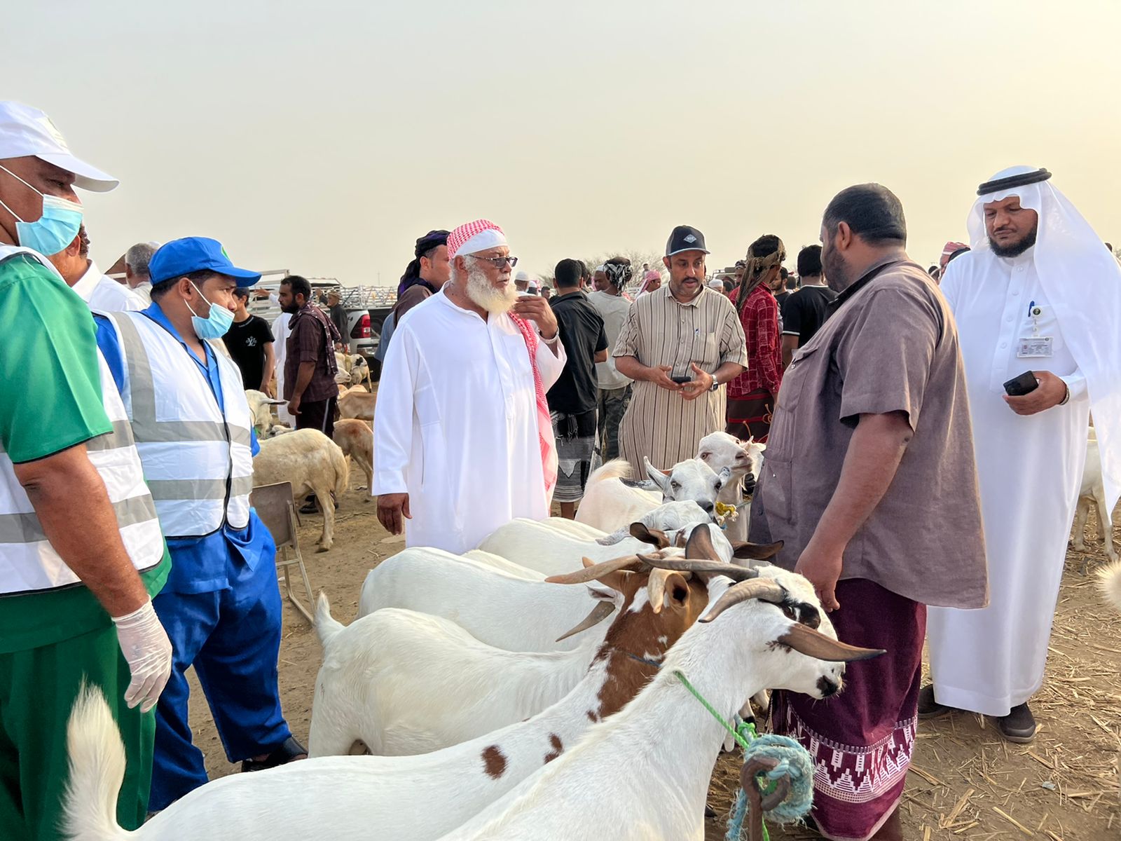 توعية وإرشاد بأهمية صحة الاضحية  يستهدف متسوقي سوق العارضة الاسبوعي
