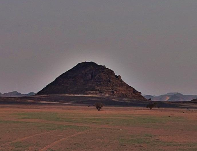 بواكير أعشاب الخريف تُعلن اخضرار صحاري وادي الدواسر 