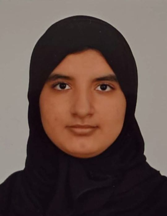 (الصحف الإلكترونية )