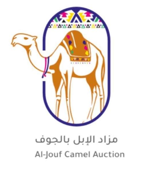 برعاية الامير فيصل بن نواف امير منطقة الجوف ينطلق مزاد الإبل بالجوف يوم الاربعاء