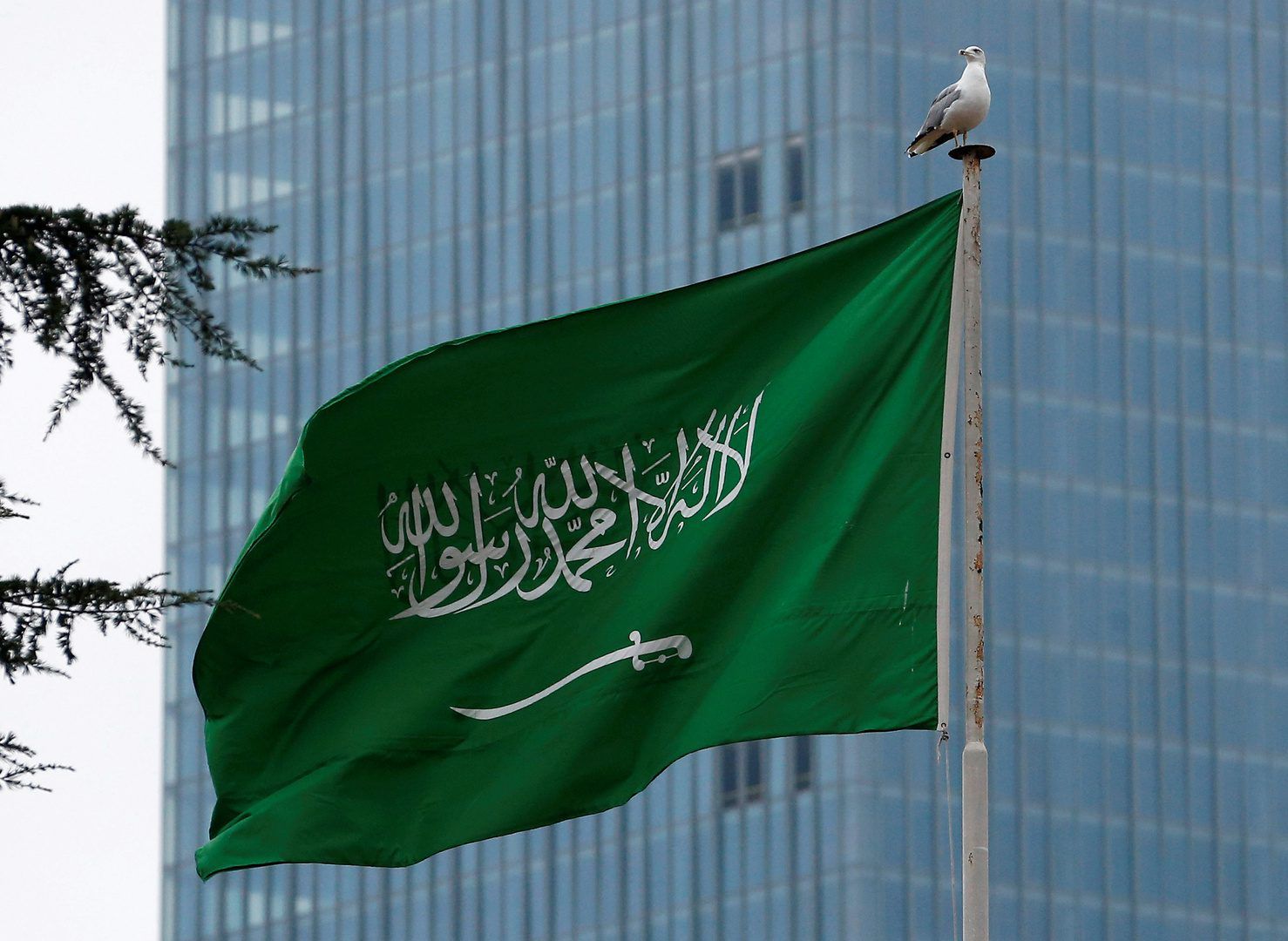 سفارة المملكة في برازيليا تعرب عن تعازي المملكة للبرازيل في ضحايا الأمطار الغزيرة والفيضانات والانهيارات الأرضية التي وقعت في ولاية ساوباولو