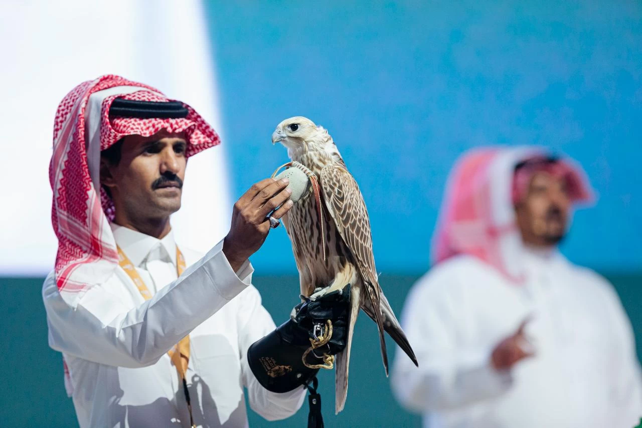 أغلى صقر حر في الشرق الأوسط تم بيعه بنصف مليون ريال