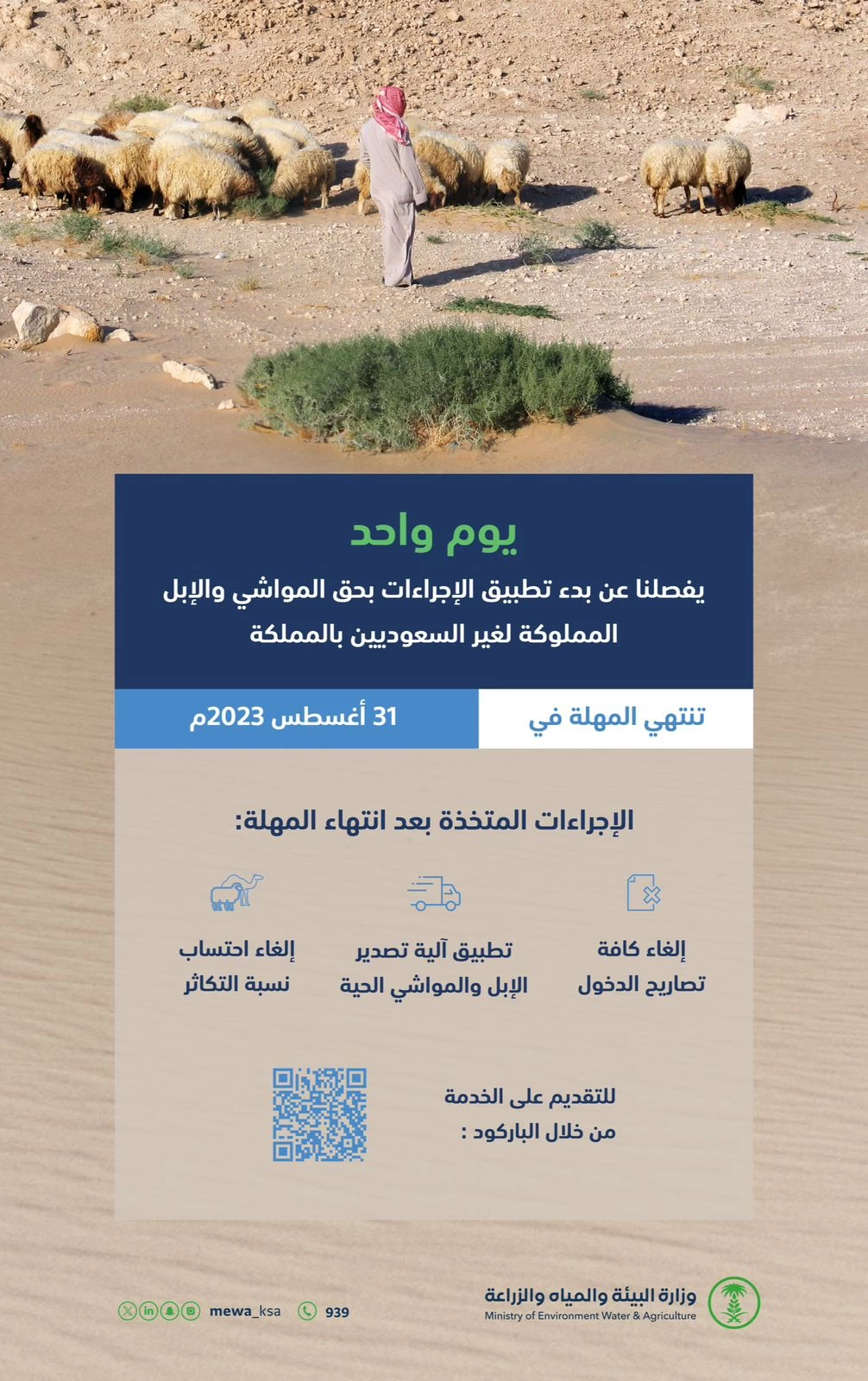 "البيئة": غدًا الخميس آخر يوم لانتهاء مهلة عودة المواشي والإبل المملوكة لغير السعوديين إلى دولهم