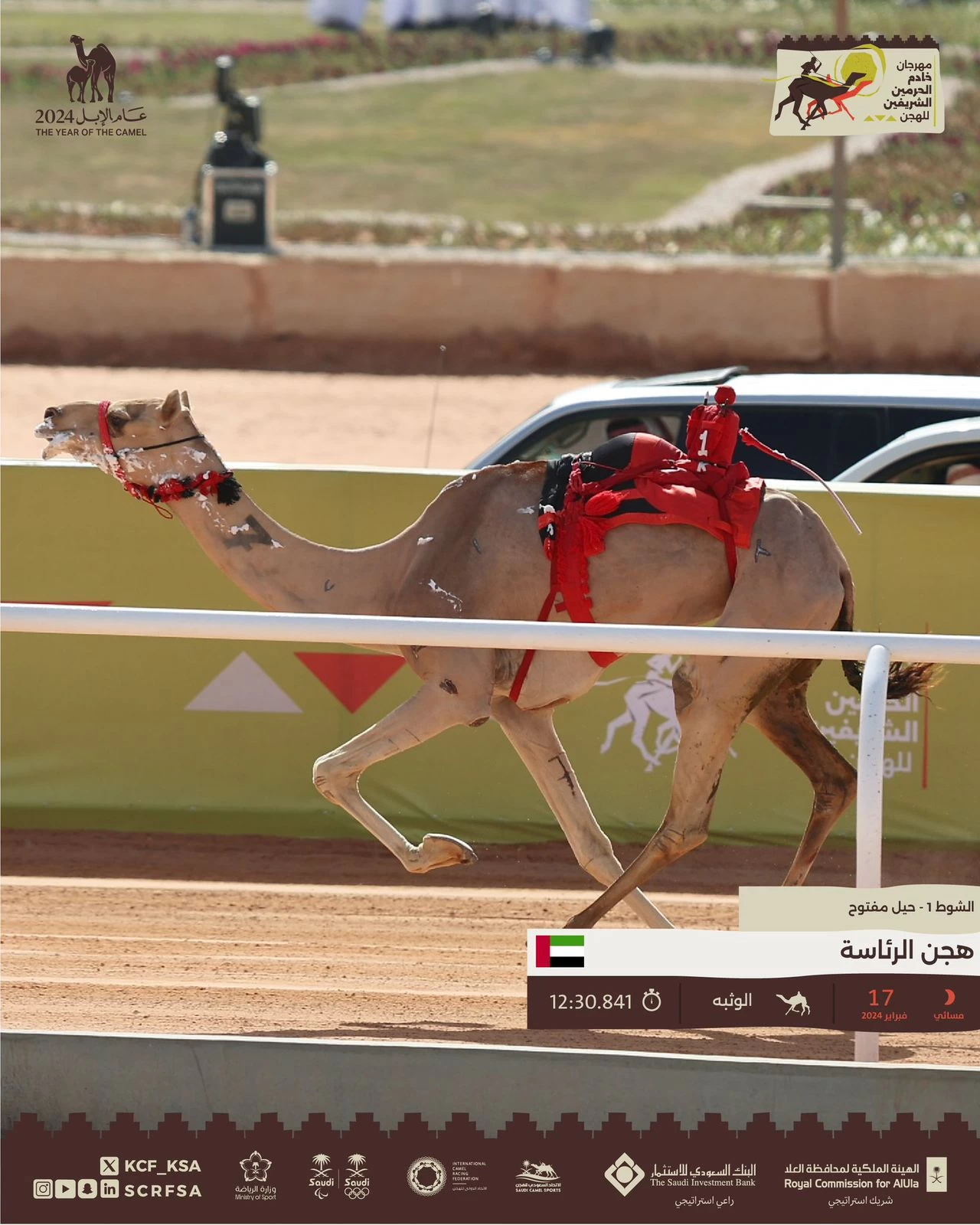 ​​​​​​​الوثبة ..التوقيت الأفضل في اليوم العاشر لمهرجان خادم الحرمين الشريفين للهجن 