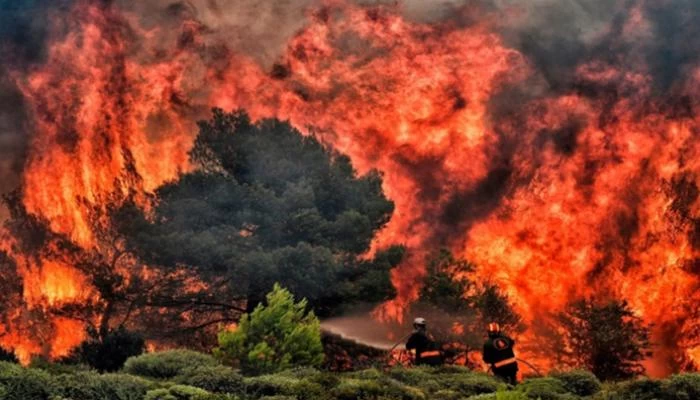 اليابان تطلب من 400 شخص مغادرة منطقة جبلية بسبب تمدد حريق غابات