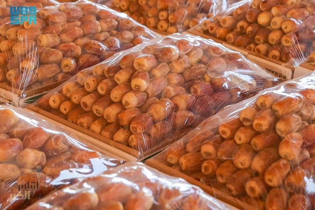 موسم تمور البدائع .. جودة في المنتج وكميات تنعش الحركة الاقتصادية