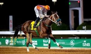 الرياض تستضيف النسخة الـ (41) من المؤتمر الآسيوي لسباقات الخيل (2026)