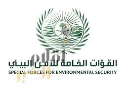 القوات الخاصة للأمن البيئي تضبط مخالفًا لنظام البيئة لاستغلاله الرواسب في المنطقة الشرقية