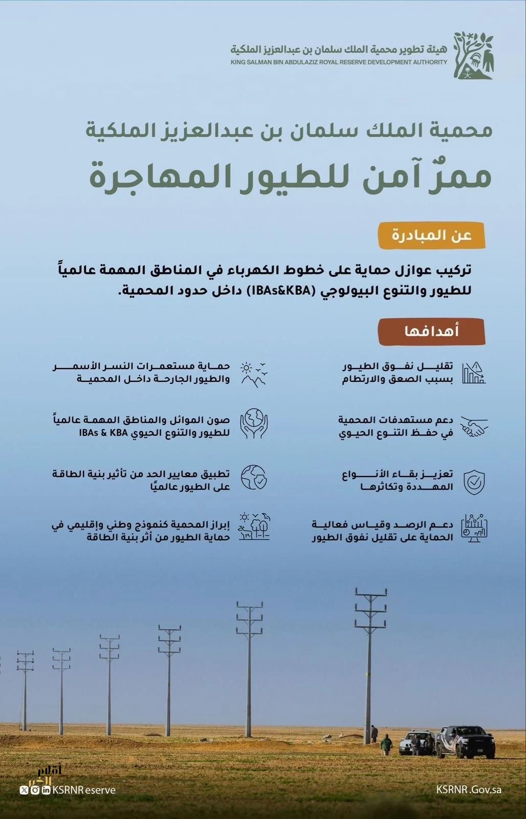مبادرة "تركيب عوازل على خطوط الكهرباء" لحماية الطيور المهاجرة من الصعق الكهربائي