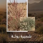 "الروثة" شجيرة فطرية تزهو في رحاب طبيعة محمية الملك سلمان بن عبدالعزيز الملكية