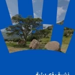 صندوق البيئة يطلق العدد الرابع من "رؤى بيئية" لتسليط الضوء على مستجدات القطاع البيئي