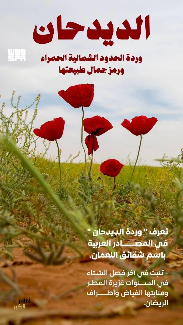 gCjWhqrJwJXyGgkuP2oh6WMRMTC3igxLkXbu45UZ