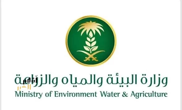 "بيئة المدينة المنورة" تنفّذ أكثر من (3) آلاف جولة رقابية في الأسواق والمسالخ خلال شهر رمضان