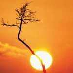 تغيّر المناخ يطيل فصل الصيف ويجعله يبدأ مبكرًا