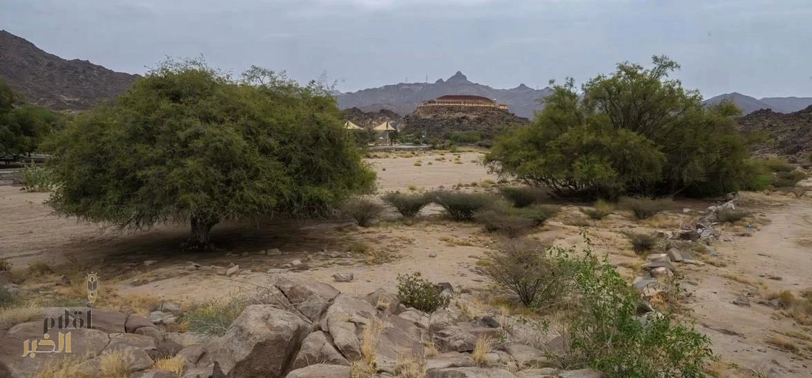 صورة طبيعية