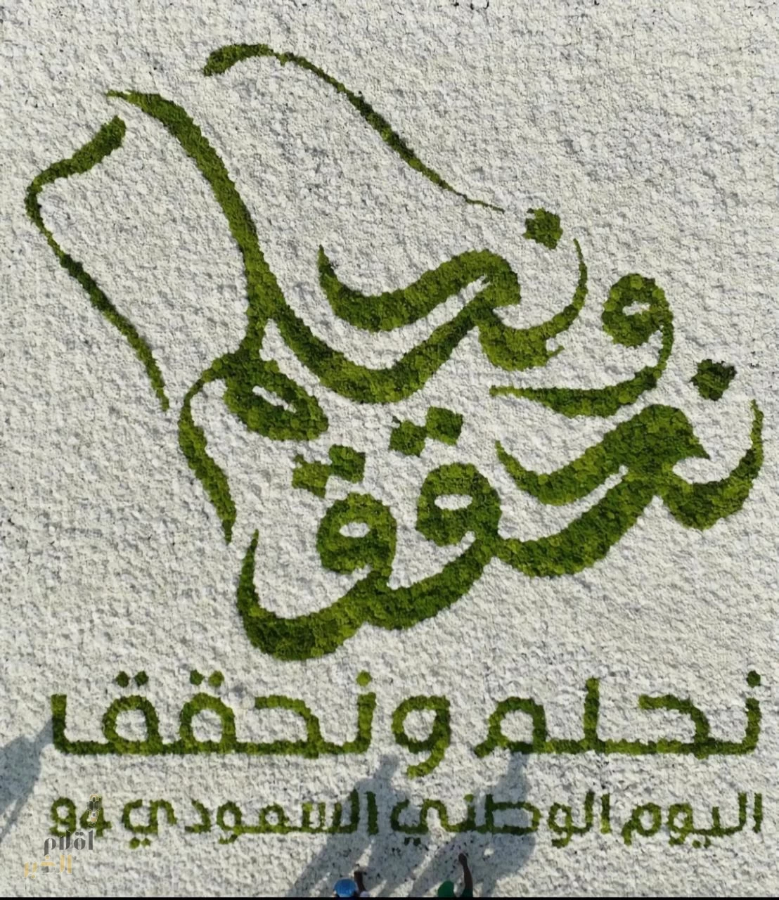 تُنفِّذ أكبر فسيفساء بالورود الطبيعية بِمُحَافظَة جدة تحمل شعار اليوم الوطني الـ 94 "نحلم ونحقق"