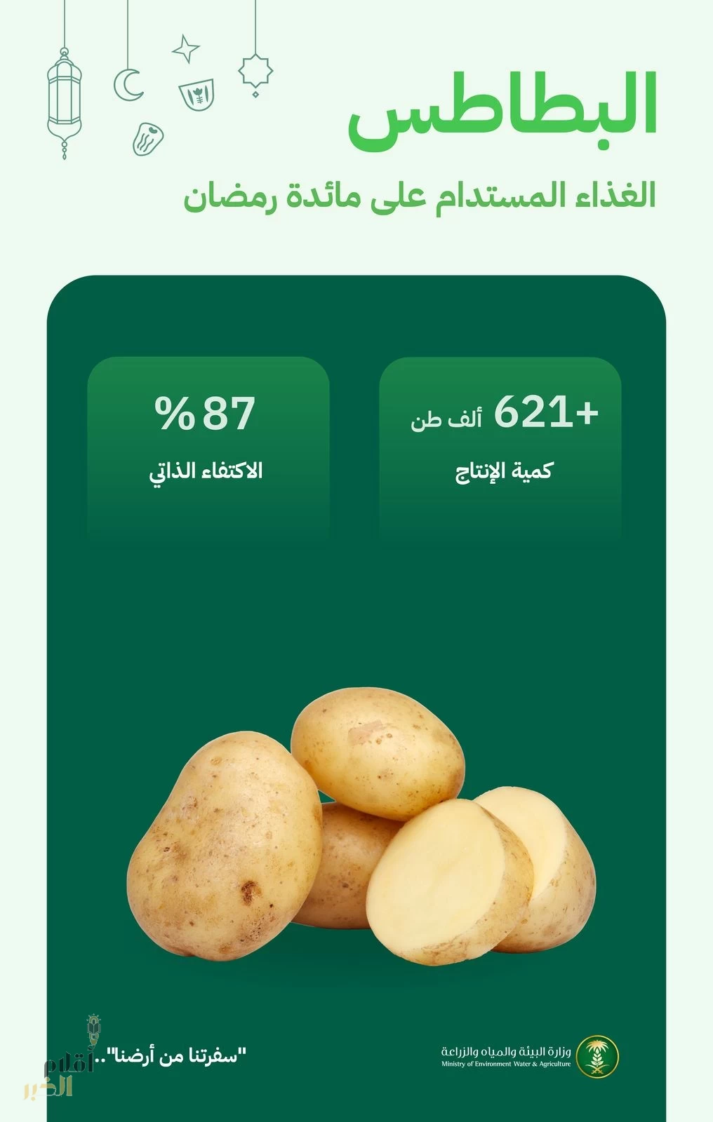 البطاطس في المملكة.. غذاء رمضاني مستدام ونسبة اكتفاء ذاتي وصلت (87) %