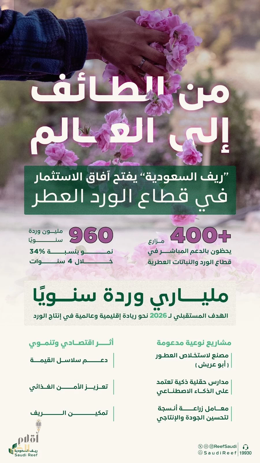 “ريف السعودية” يدعم أكثر من 400 مزارع ويستهدف إنتاج ملياري وردة سنويًا بحلول 2026