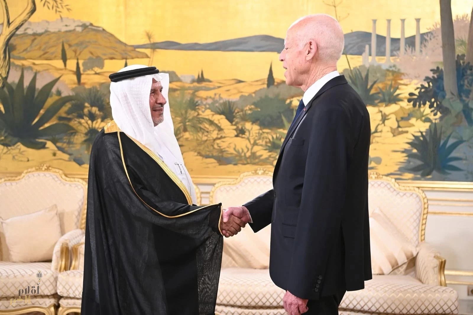 الرئيس التونسي يستقبل المشرف العام على مركز الملك سلمان للإغاثة