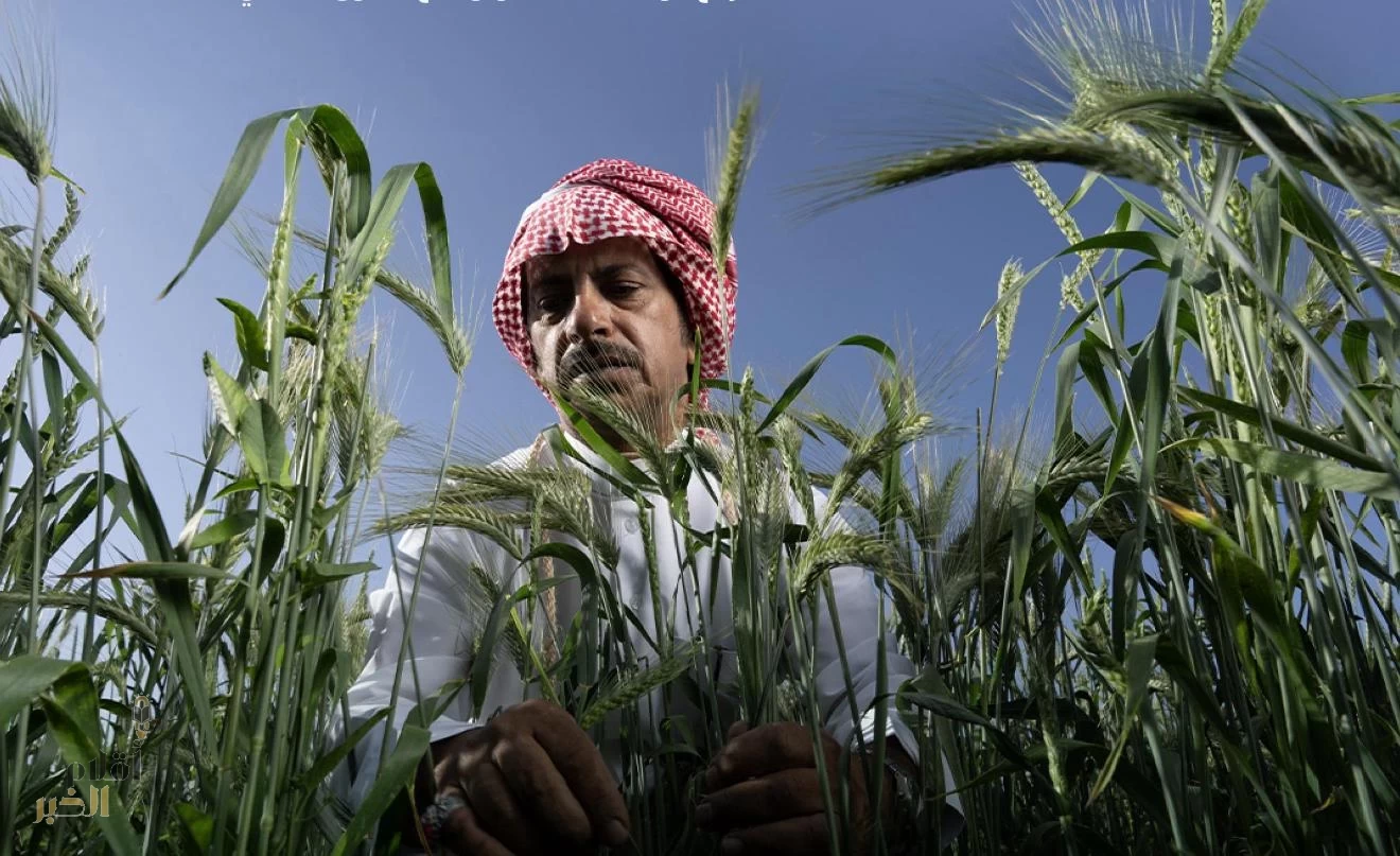 "ريف السعودية": عدد مستفيدي البرنامج يتجاوز 87 ألف مستفيد تعزيزًا لاستقرار المجتمع الريفي