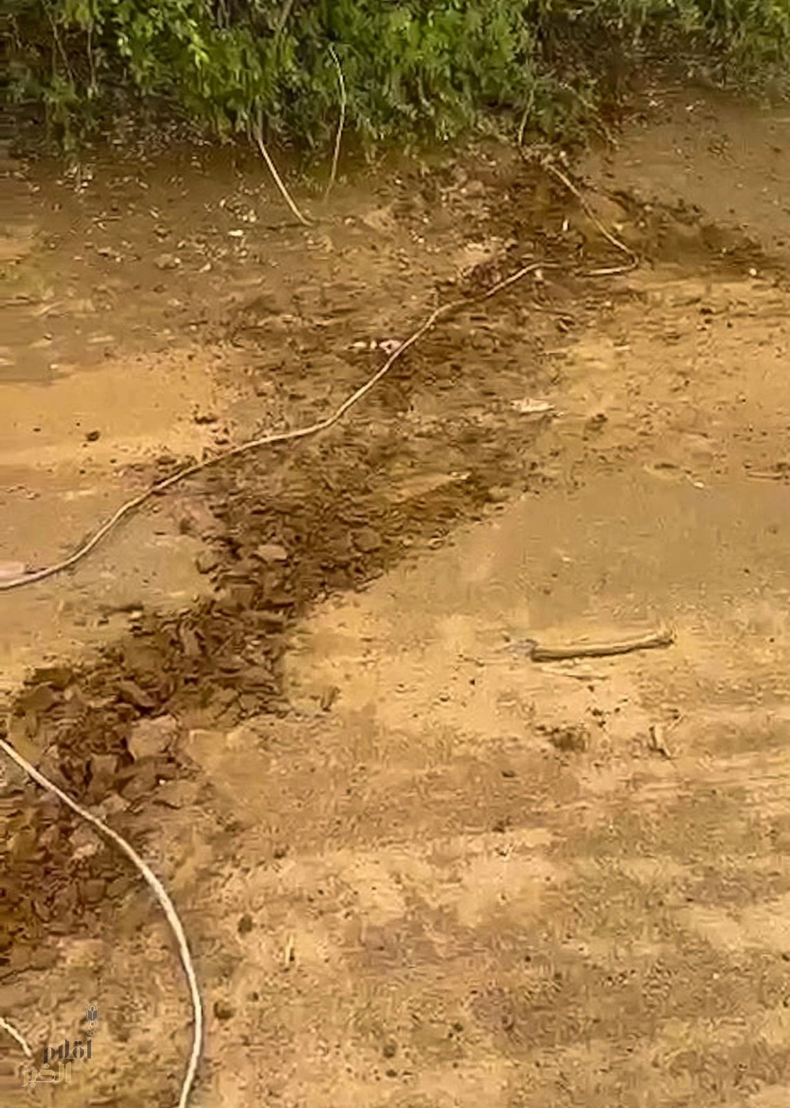 IMG-20250828-WA0080