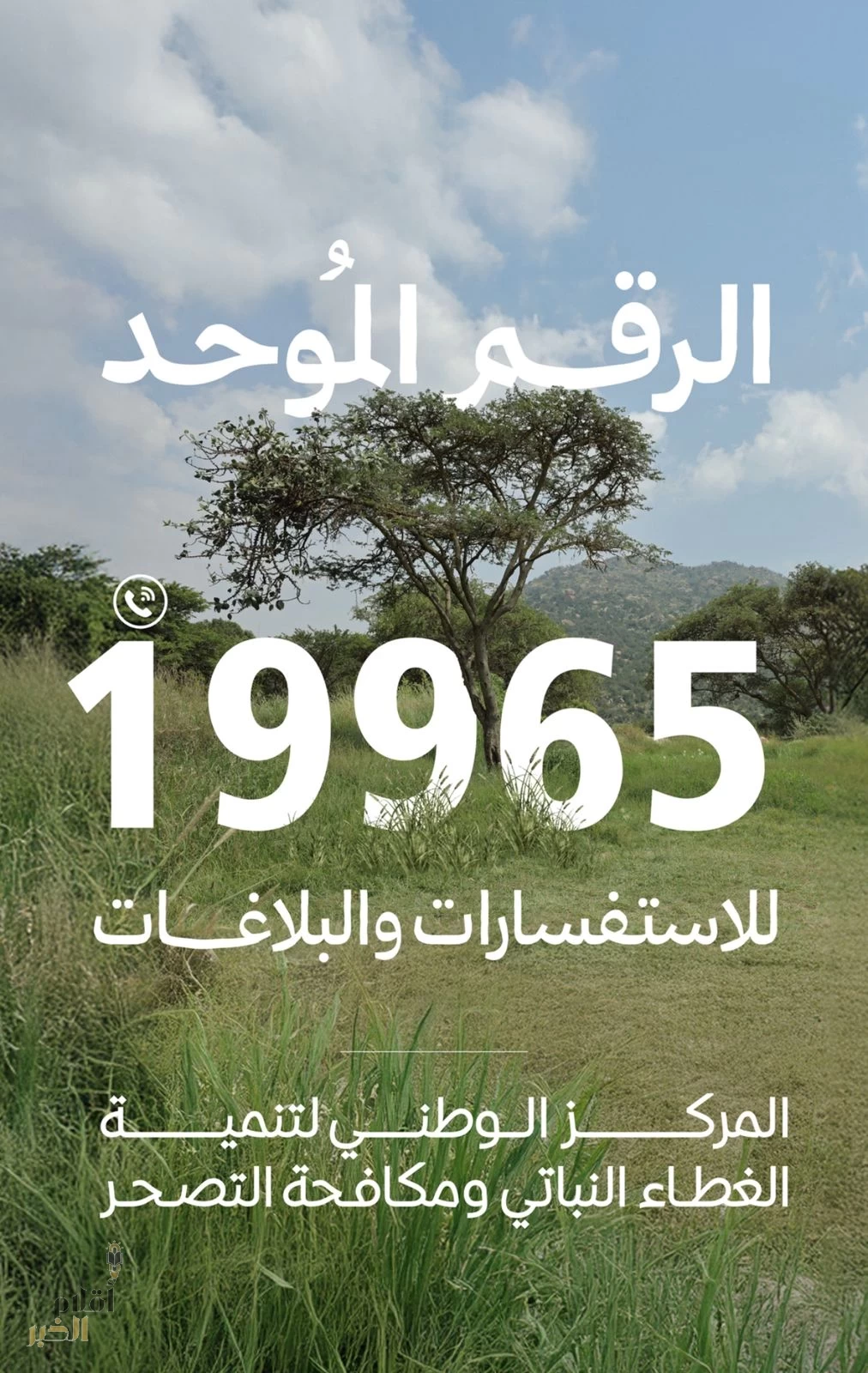 "الغطاء النباتي" يطلق خدمات الرقم الموحد (19965) لتلقي البلاغات والاستفسارات